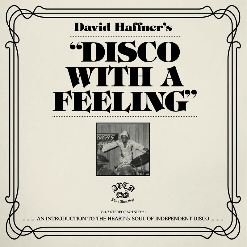 Various/DISCO WITH A FEELING DLP