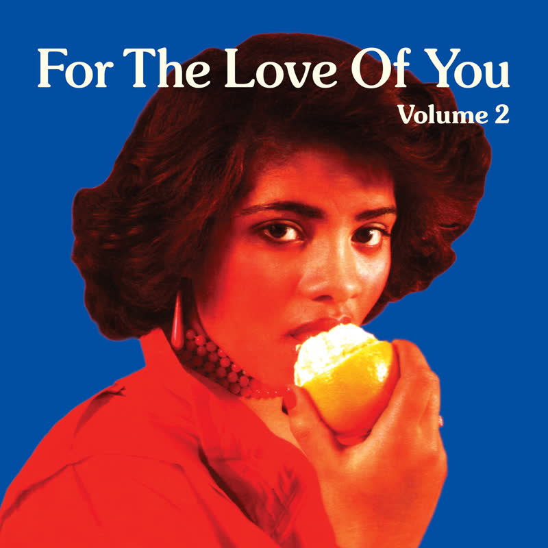 Various/FOR THE LOVE OF YOU VOL 2 DLP