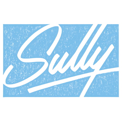 Sully/FLOCK 12"
