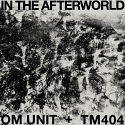 Om Unit & TM404/IN THE AFTERWORLD LP