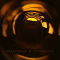 Lovelock/BUSINESS & PLEASURE LP