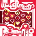 Walter Meego/ROMANTIC 12"