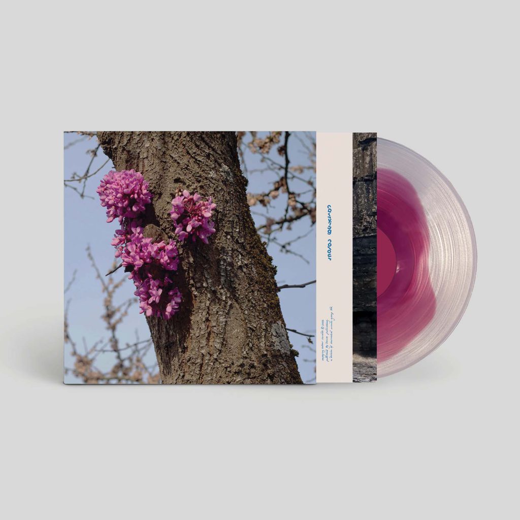 Duval Timothy/MEETING WITH A JUDAS TREE LP
