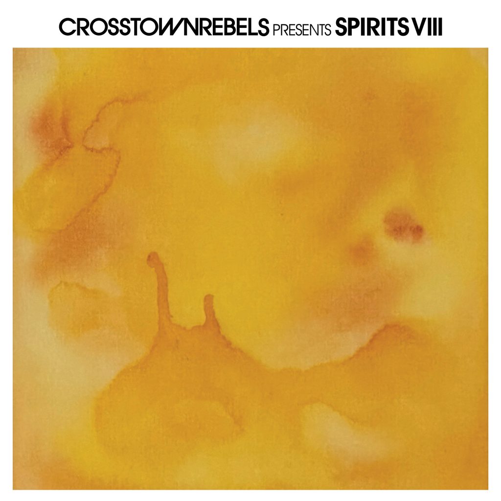 Various/CROSSTOWN REBELS: SPIRITS 8 DLP