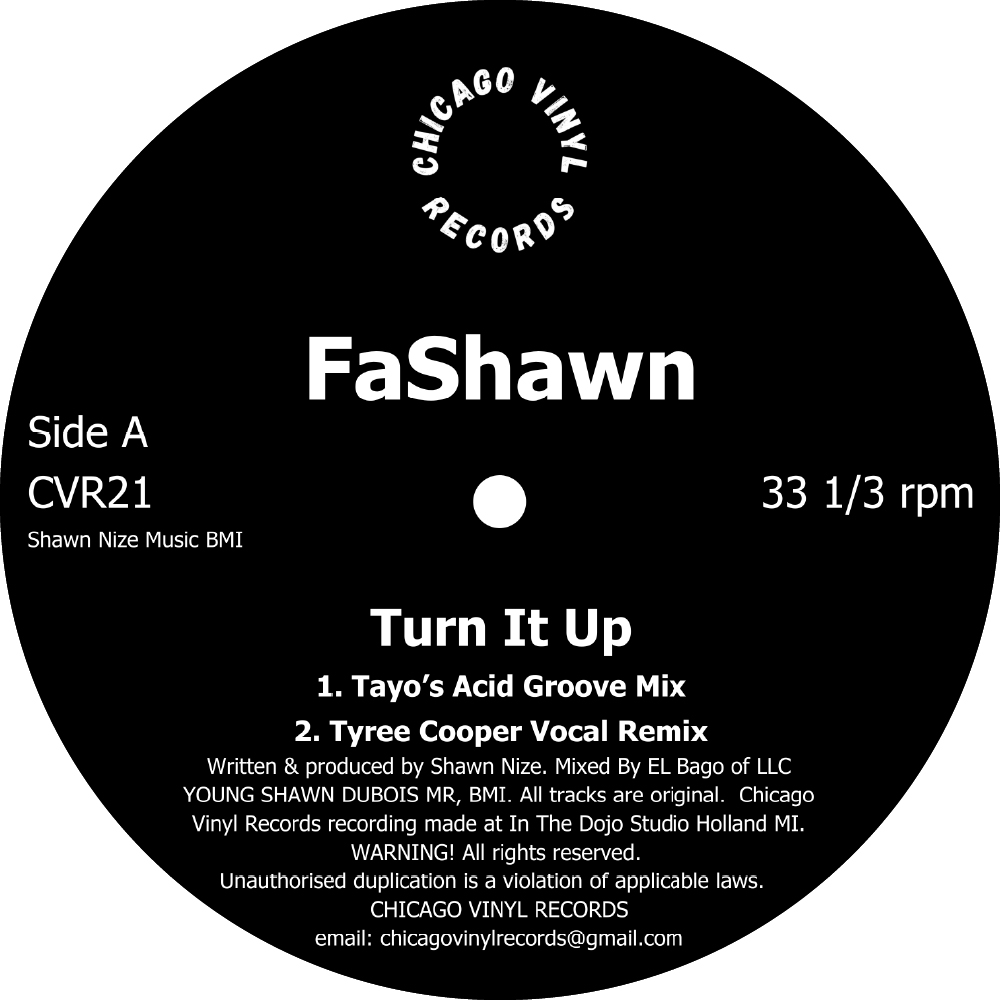 Fashawn/TURN IT UP 12"