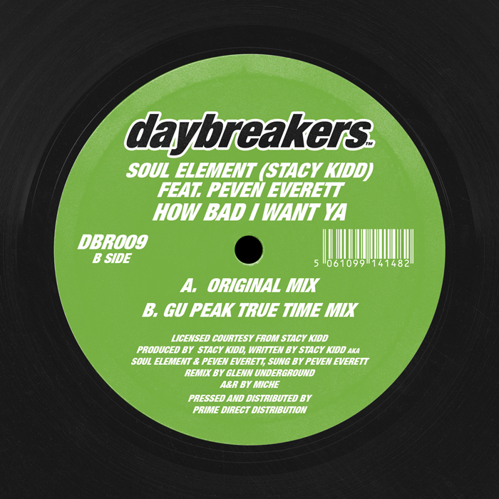 Soul Element/HOW BAD I WANT YA 12"