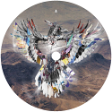 SUDO/WE ARE FREE 12"