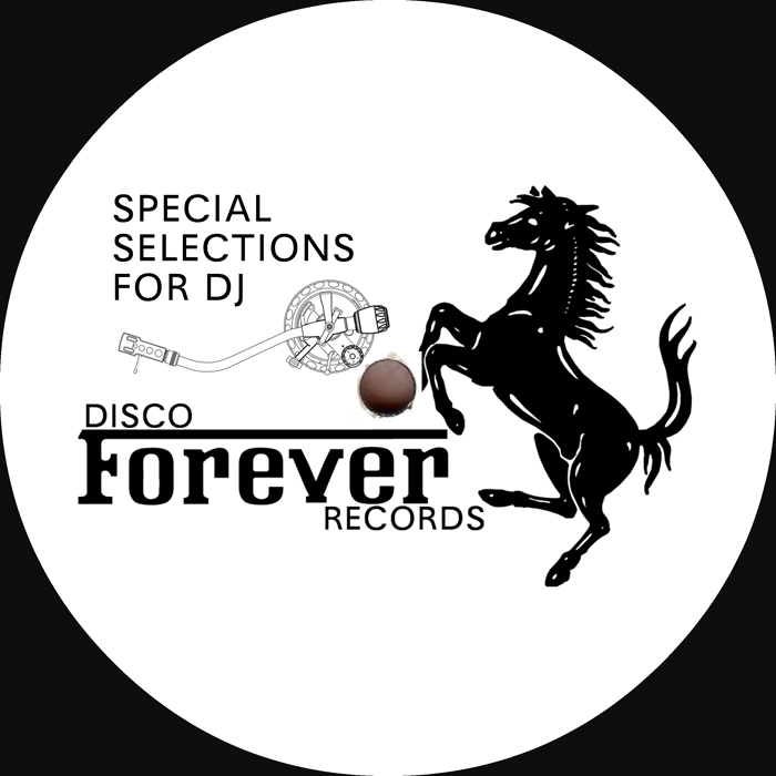 Disco Invasion/SPECIAL SELECTION 12"