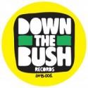 Down The Bush/CHAMPION 12"