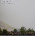 Palm Skin Productions/YEAR OF... 12"