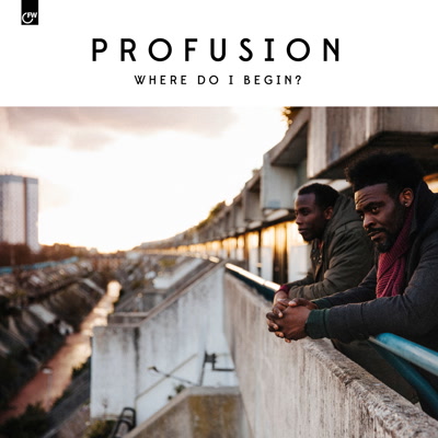 Profusion/WHERE DO I BEGIN? LP