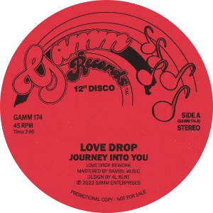 Love Drop/JOURNEY INTO YOU 12