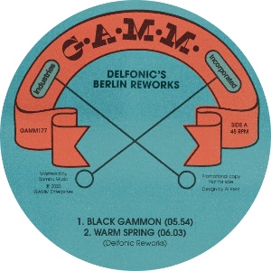 Delfonic/BERLIN REWORKS 12"