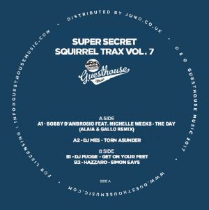 Various/SUPER SECRET SQUIRREL TRX V7 12"