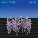 Shelley Parker/WISTERIA DLP