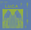L.U.C.A./TERRA LP