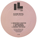 Aleqs Notal/BEHIND THE NOISE 12"