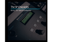 Various/THE SP CHRONICLES LP