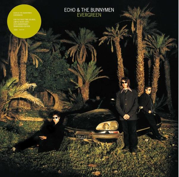 Echo & The Bunnymen/EVERGREEN LP