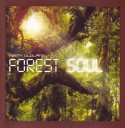 Misty Oldland/FOREST SOUL CD