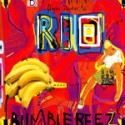 Bumblebeez/RIO REMIX 12"