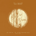 DJ 3000/WORK IN PROGRESS REMIXES 12"