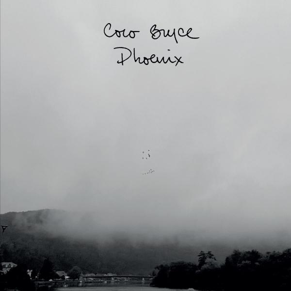 Coco Bryce/PHOENIX DLP