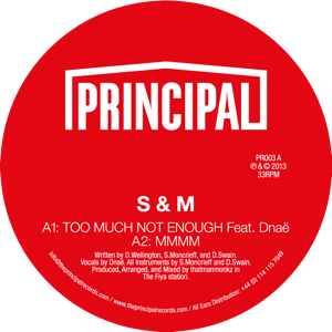 S & M/TOO MUCH NOT ENOUGH WITH DNAE 12"