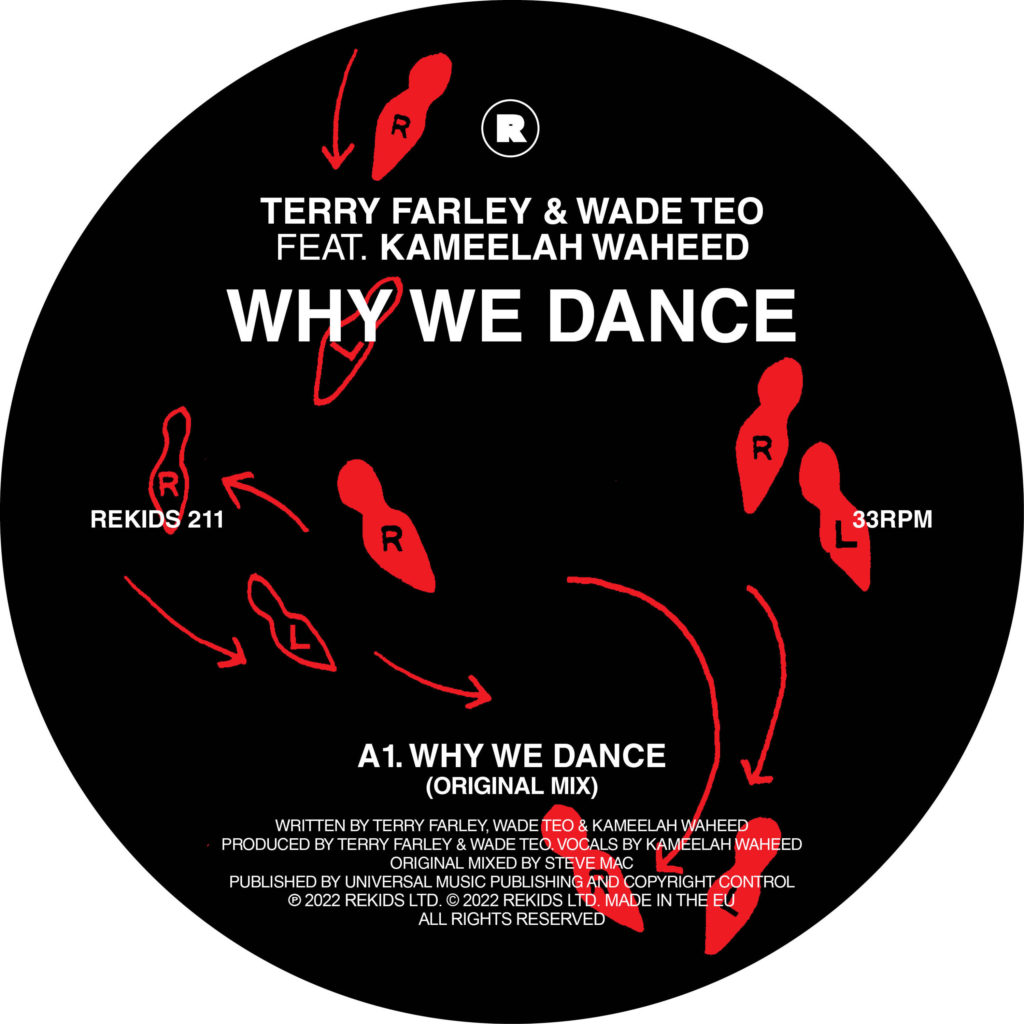 Terry Farley & Wade Teo/WHY WE DANCE 12