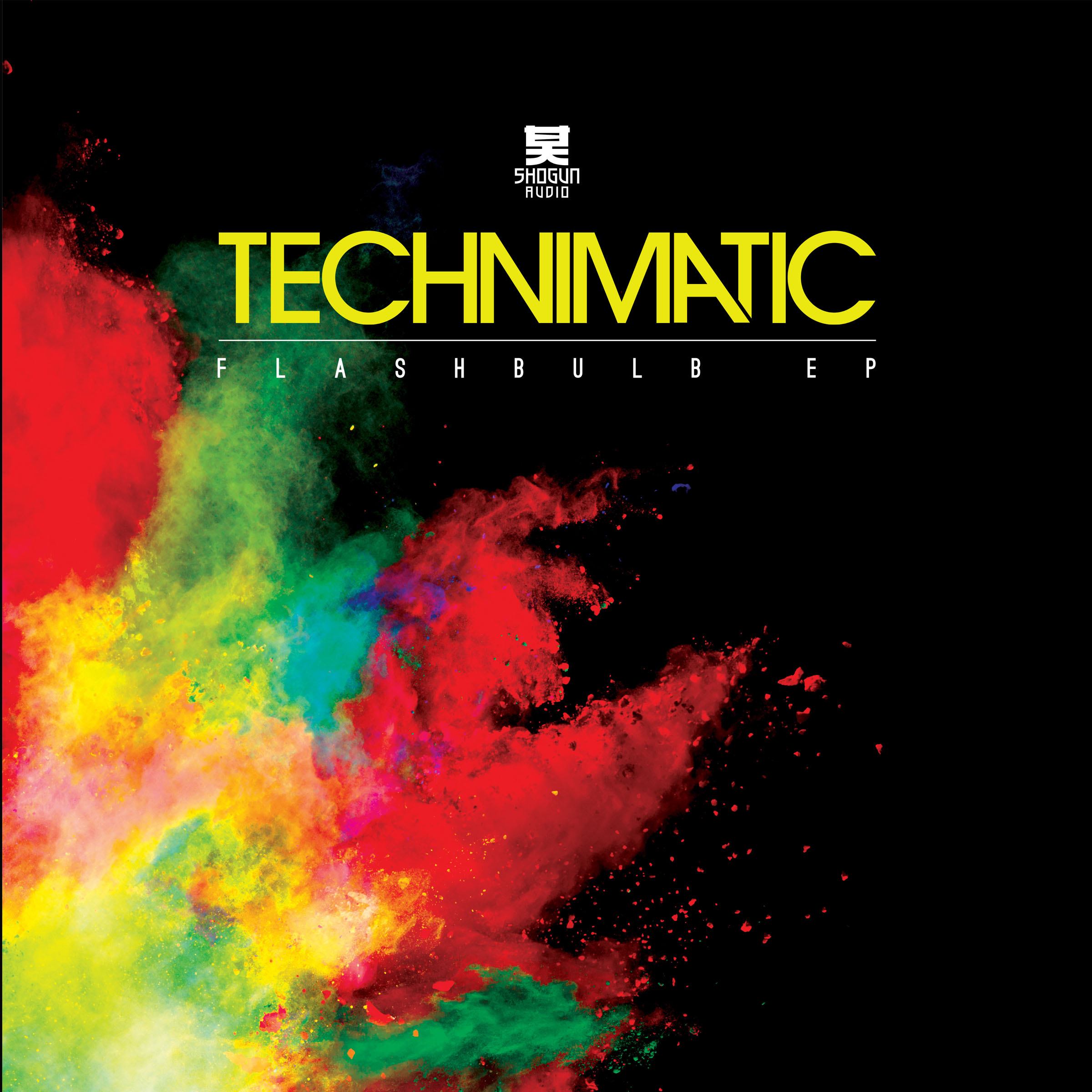 Technimatic/FLASHBULB EP D12"