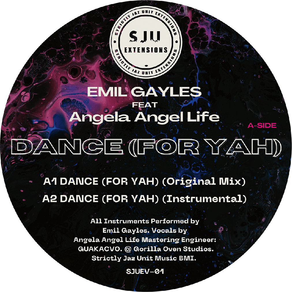 Emil Gayles ft A.A. Life/DANCE... 12