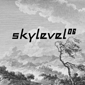 Skylevel/06 12"