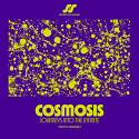 Various/COSMOSIS: JOURNEYS INTO THE.. LP