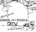 Protassov meets Kabanjak/GROW CD