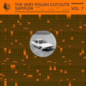 Various/THE VERY POLISH CUT-OUTS V7 12"