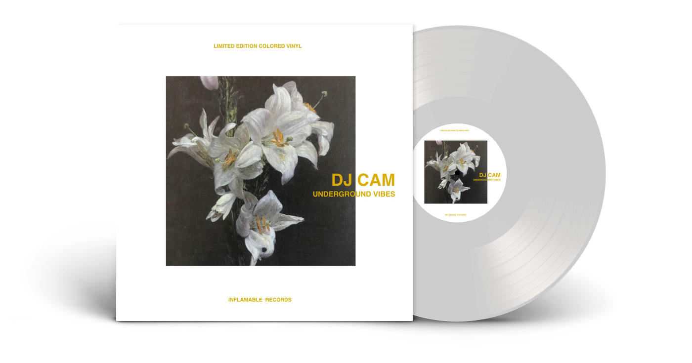 DJ Cam/UNDERGROUND VIBES LP