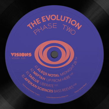 Various/THE EVOLUTION: PHASE TWO 12"