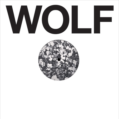Homework/WOLF EP 27 12"