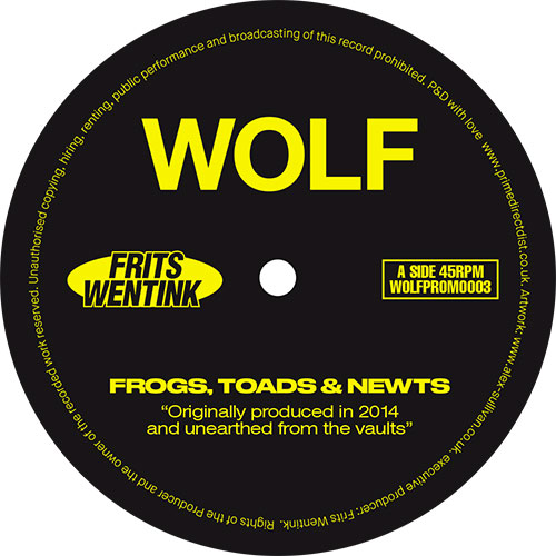 Frits Wentink/FROGS.. (1-SIDED) -RSD 12"