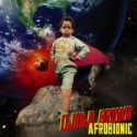 Djinji Brown/AFRO BIONIC (SLIMLINE) CD