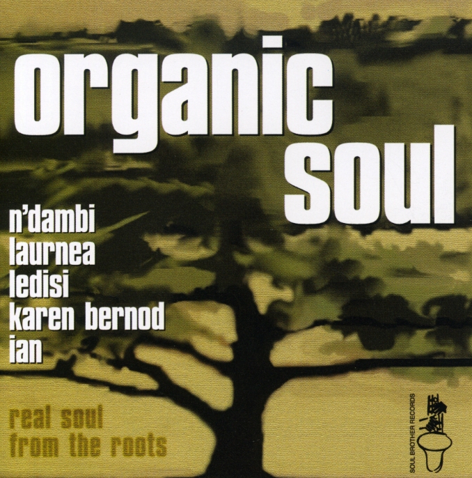 Various/ORGANIC SOUL 1 CD