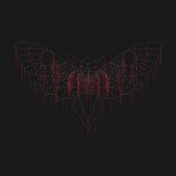 John Beltran/MOTH DLP