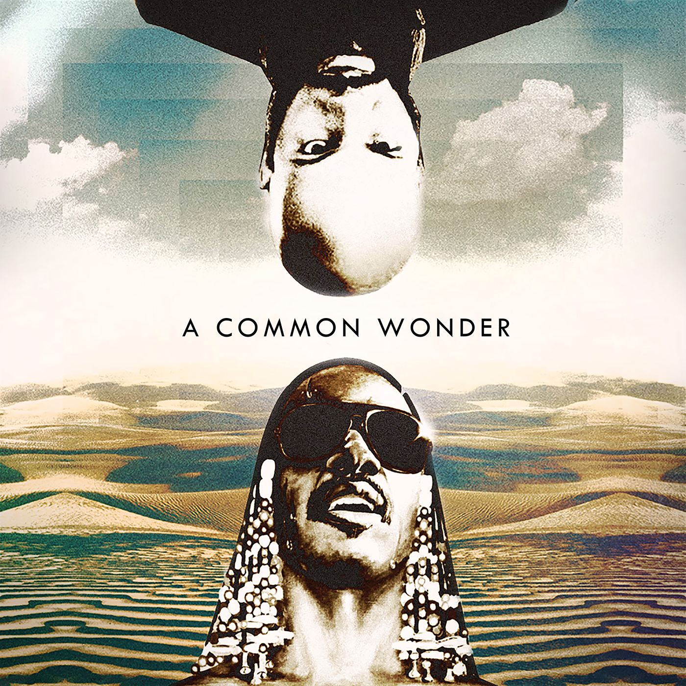 Common vs S Wonder/COMMON WONDER DLP