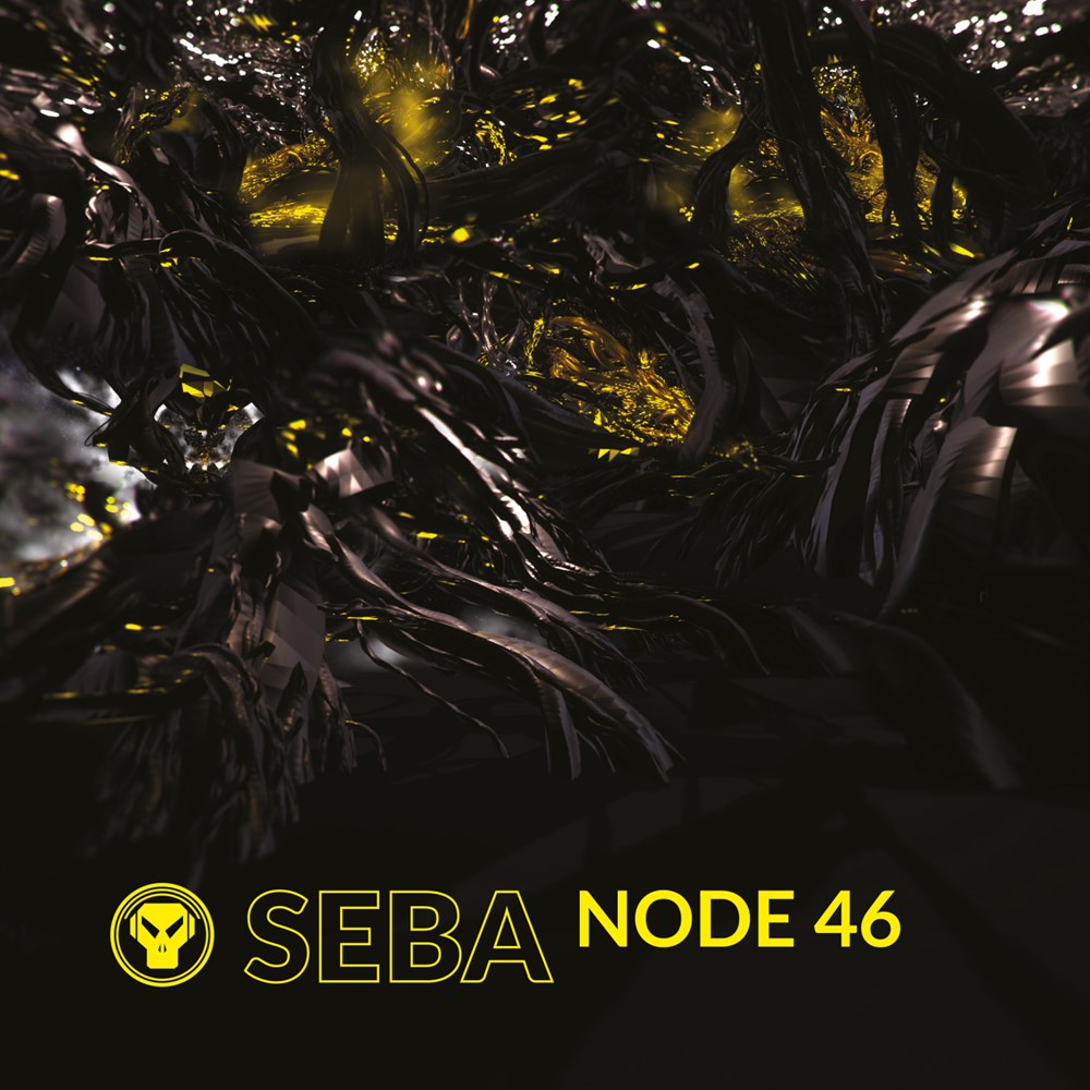 Seba/NODE 46 12
