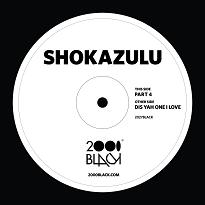 Shokazulu/PART 4-DIS YAH ONE I LOVE 12"