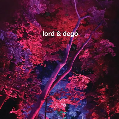 Lord & Dego/ONE WAY TO THE OTHER 12"