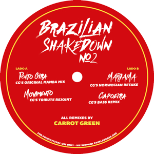 Various/BRAZILIAN SHAKEDOWN 2 12"