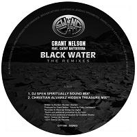 Grant Nelson/BLACK WATER REMIXES 12"