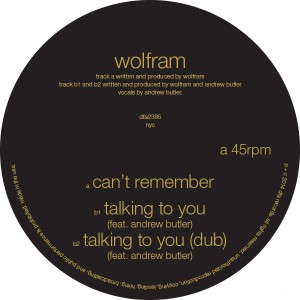 Wolfram/CAN'T REMEMBER & TALKING... 12"