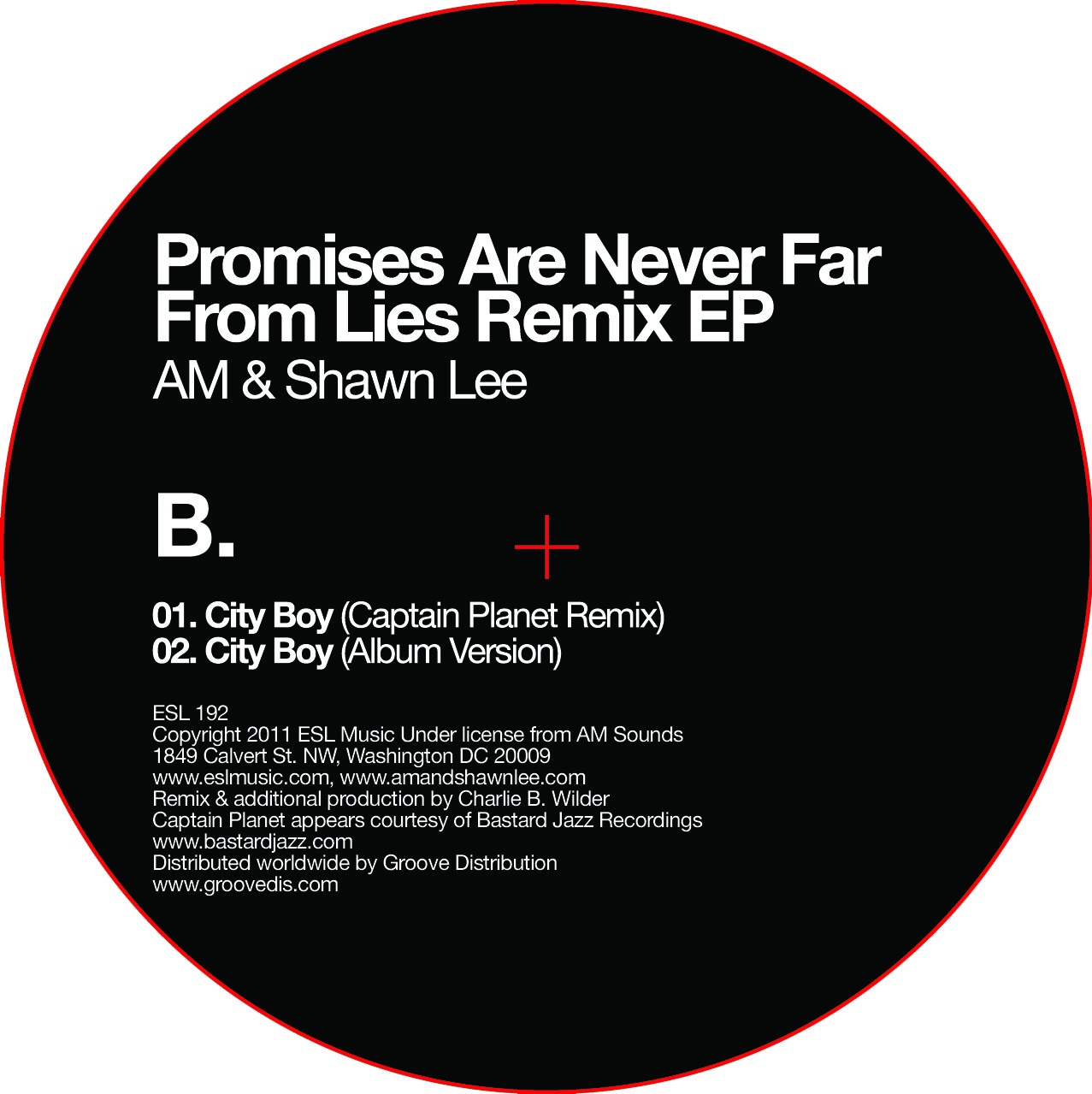 AM & Shawn Lee/PROMISES ARE NEVER... 12"